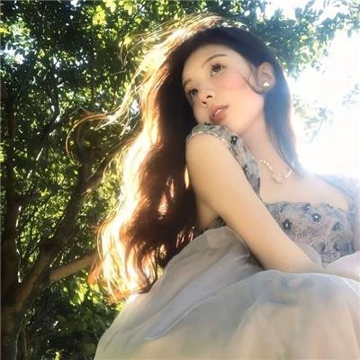凤婿